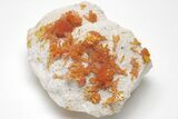 Vibrant Orange Orpiment Crystals on Barite - Russia #208756-1